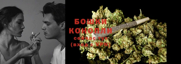 ГАЛЛЮЦИНОГЕННЫЕ ГРИБЫ Баксан