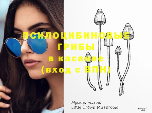 ПСИЛОЦИБИНОВЫЕ ГРИБЫ Армянск